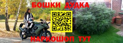твердый Будённовск