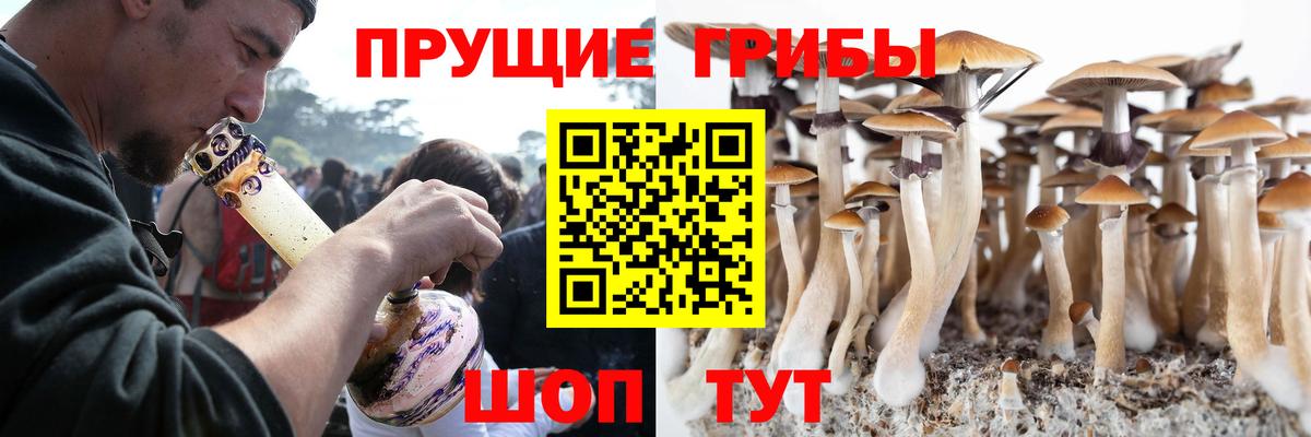 Псилоцибиновые грибы ЛСД  Вход с VPN  Галлюциногенные грибы Psilocybe  наркотики  Нальчик 
